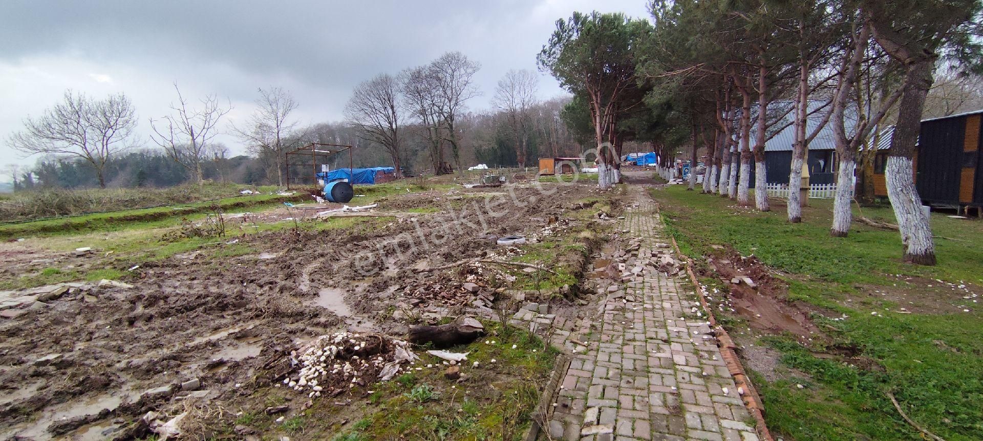 Adapazarı Poyrazlarda Bungalov Yapımına Uygun Kiralık Tarla - Görsel 6