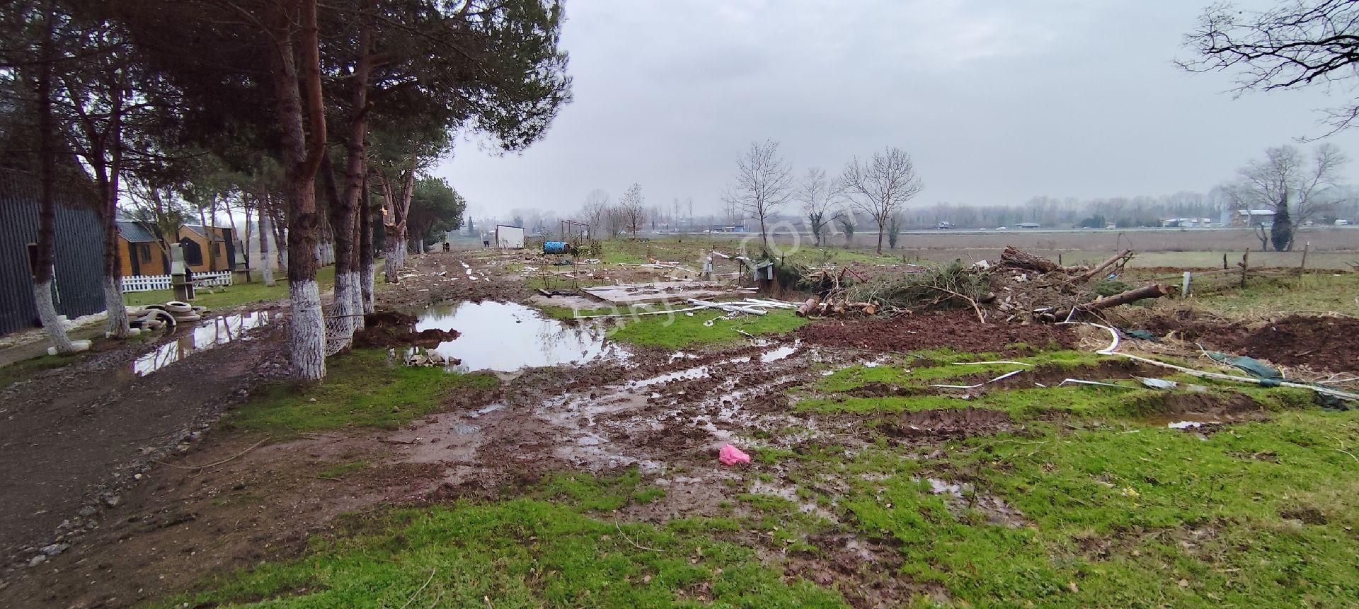 Adapazarı Poyrazlarda Bungalov Yapımına Uygun Kiralık Tarla - Görsel 3