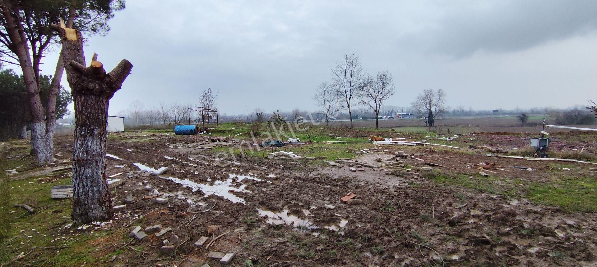 Adapazarı Poyrazlarda Bungalov Yapımına Uygun Kiralık Tarla - Görsel 5
