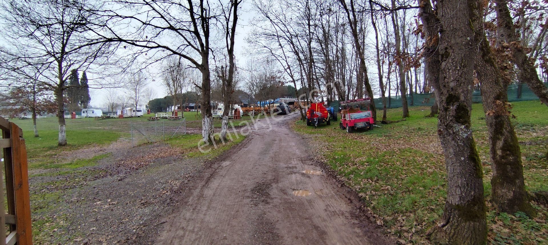 Adapazarı Poyrazlarda Bungalov Yapımına Uygun Kiralık Tarla - Görsel 7