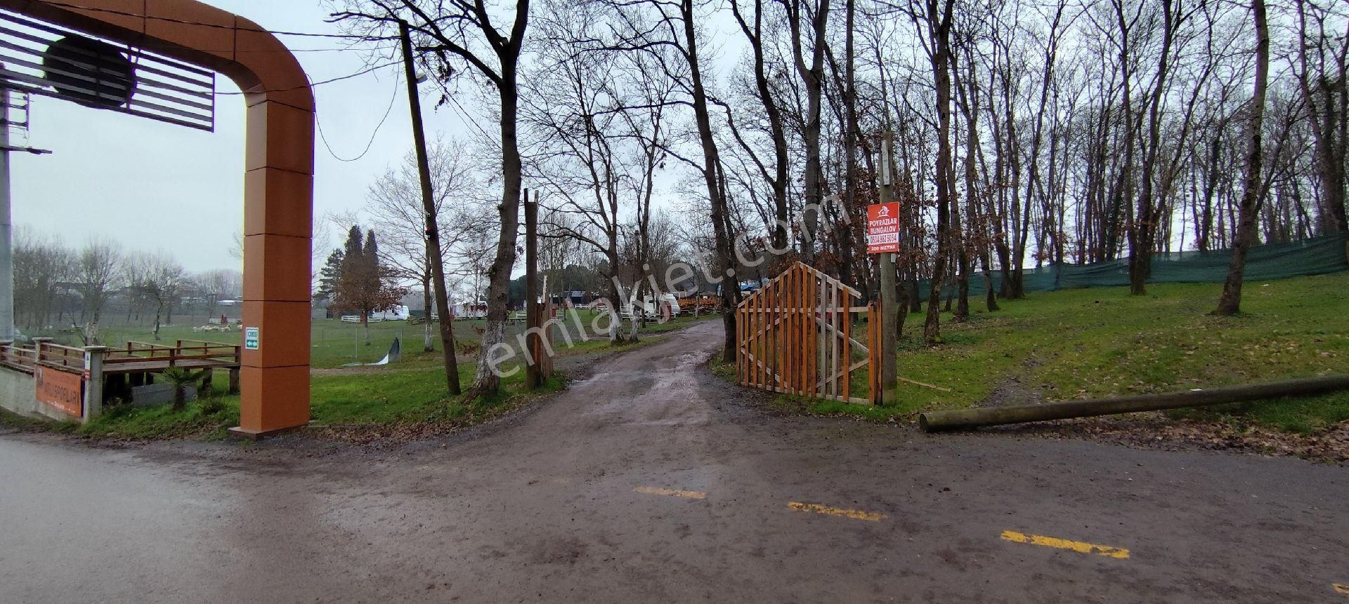 Adapazarı Poyrazlarda Bungalov Yapımına Uygun Kiralık Tarla - Görsel 8