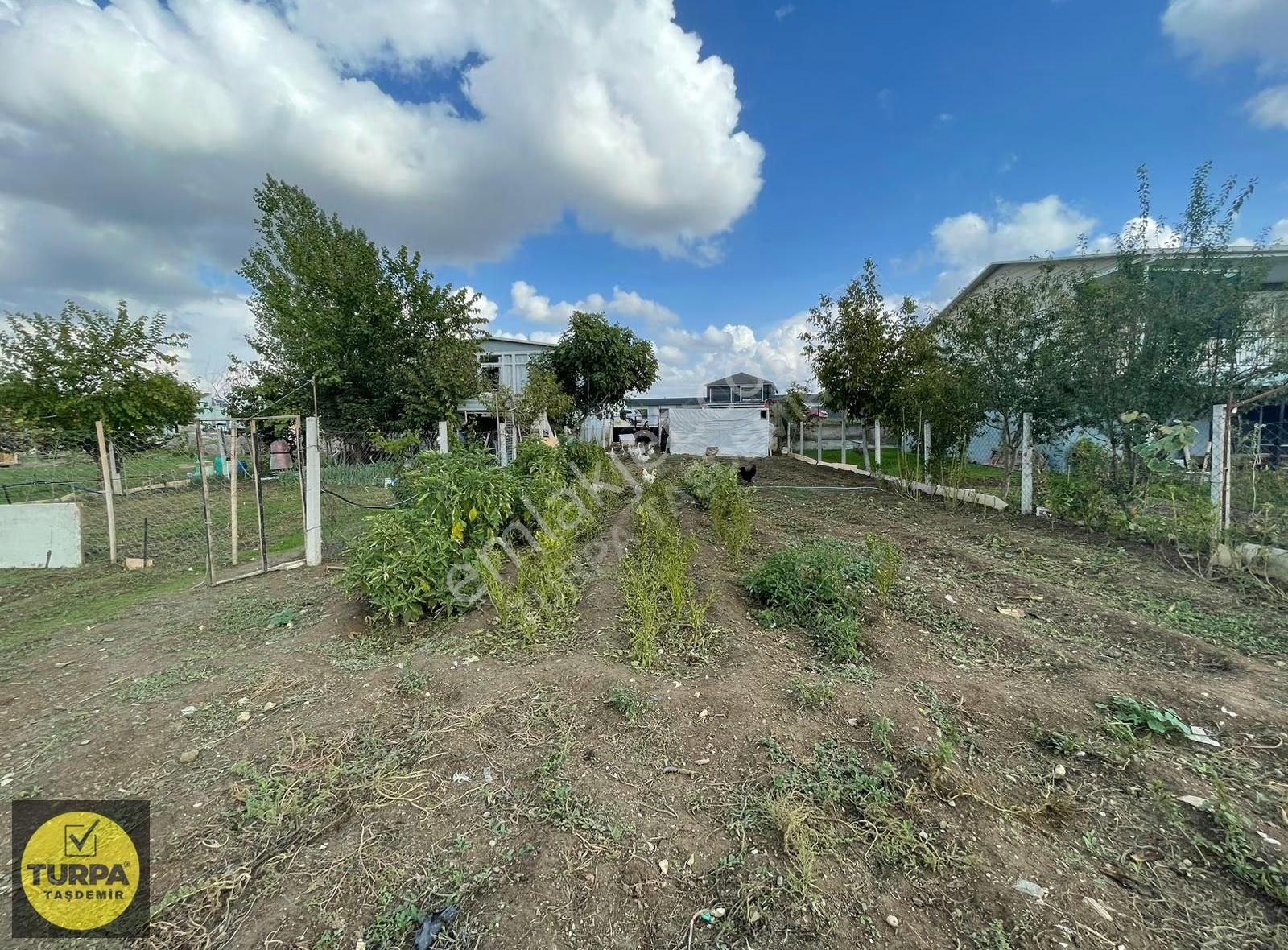 Menderes Bulgurca (çilemeye Daha Yakın) Satılık Tarla (müst. Ev) - Görsel 24