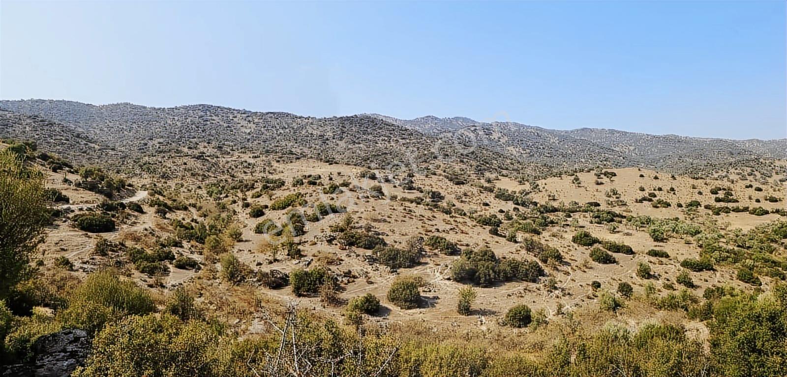 Çine'de Güneş Enerjisine Uygun Satılık 255 Dönüm Arazi - Görsel 3