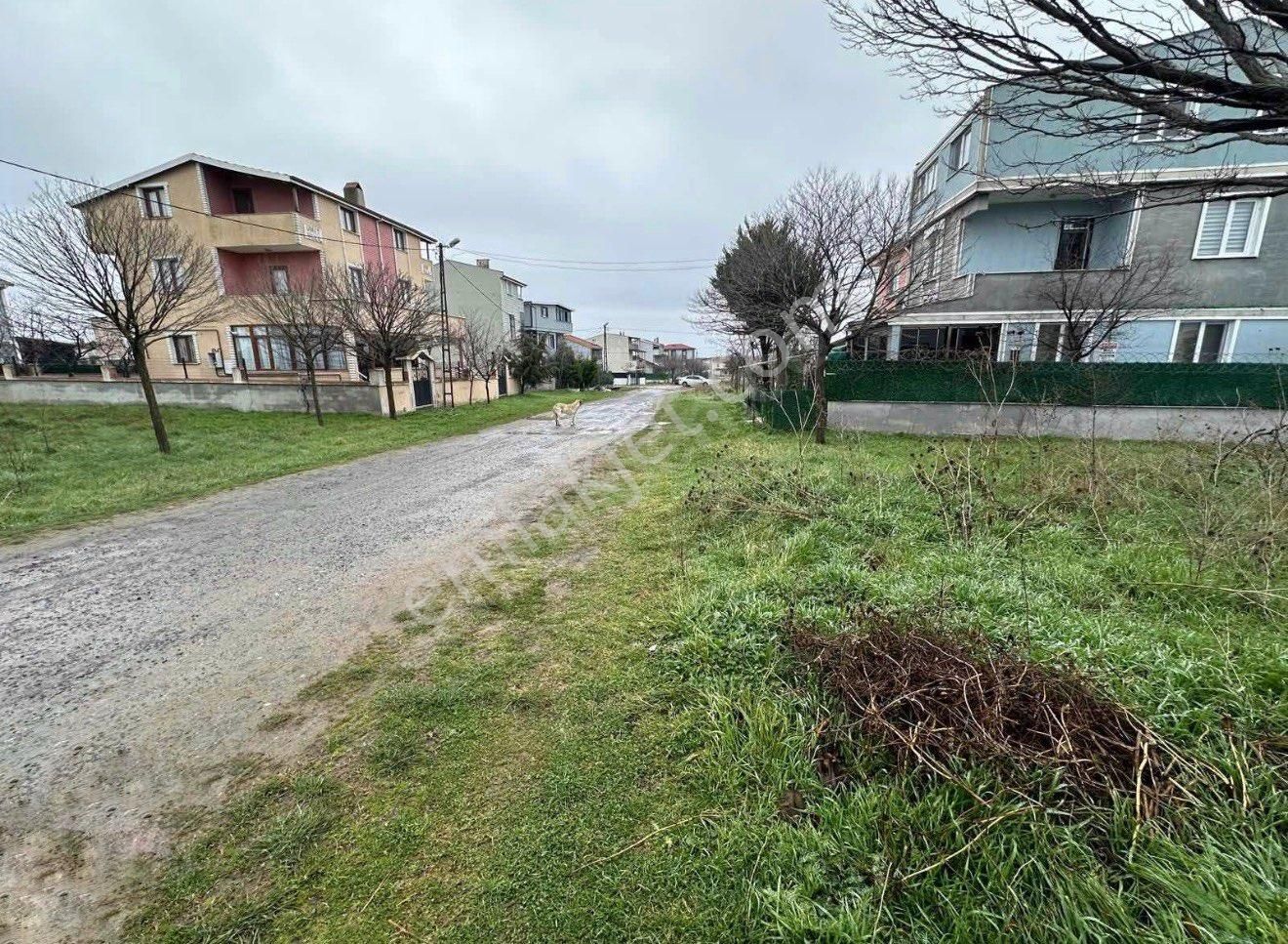 🏡 Tekirdağ / Marmaraereğlisi / Yeniçiftlik’te Kaçırılmayacak Arsa! - Görsel 3