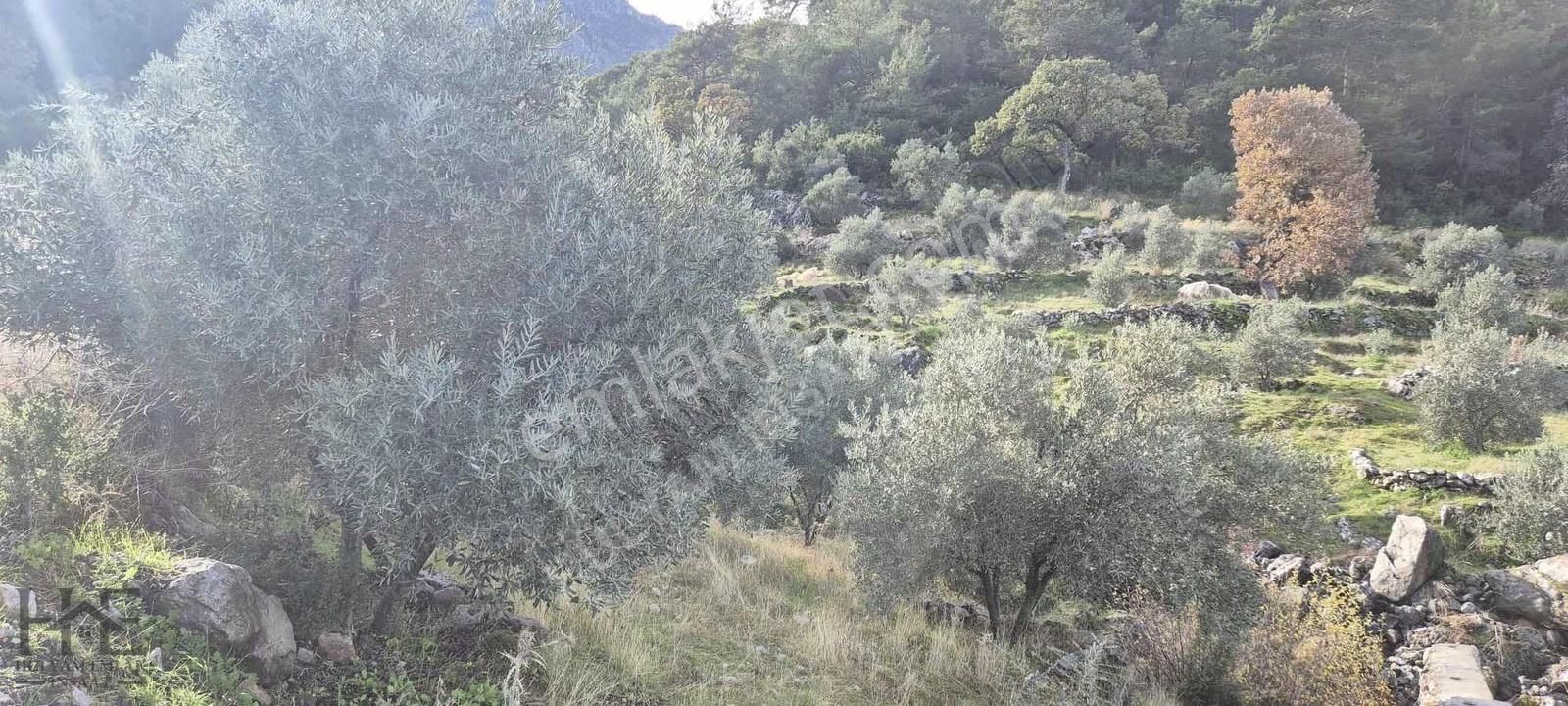 Fethiye Bozyer Mahallesinde Satılık Arazi - Görsel 8