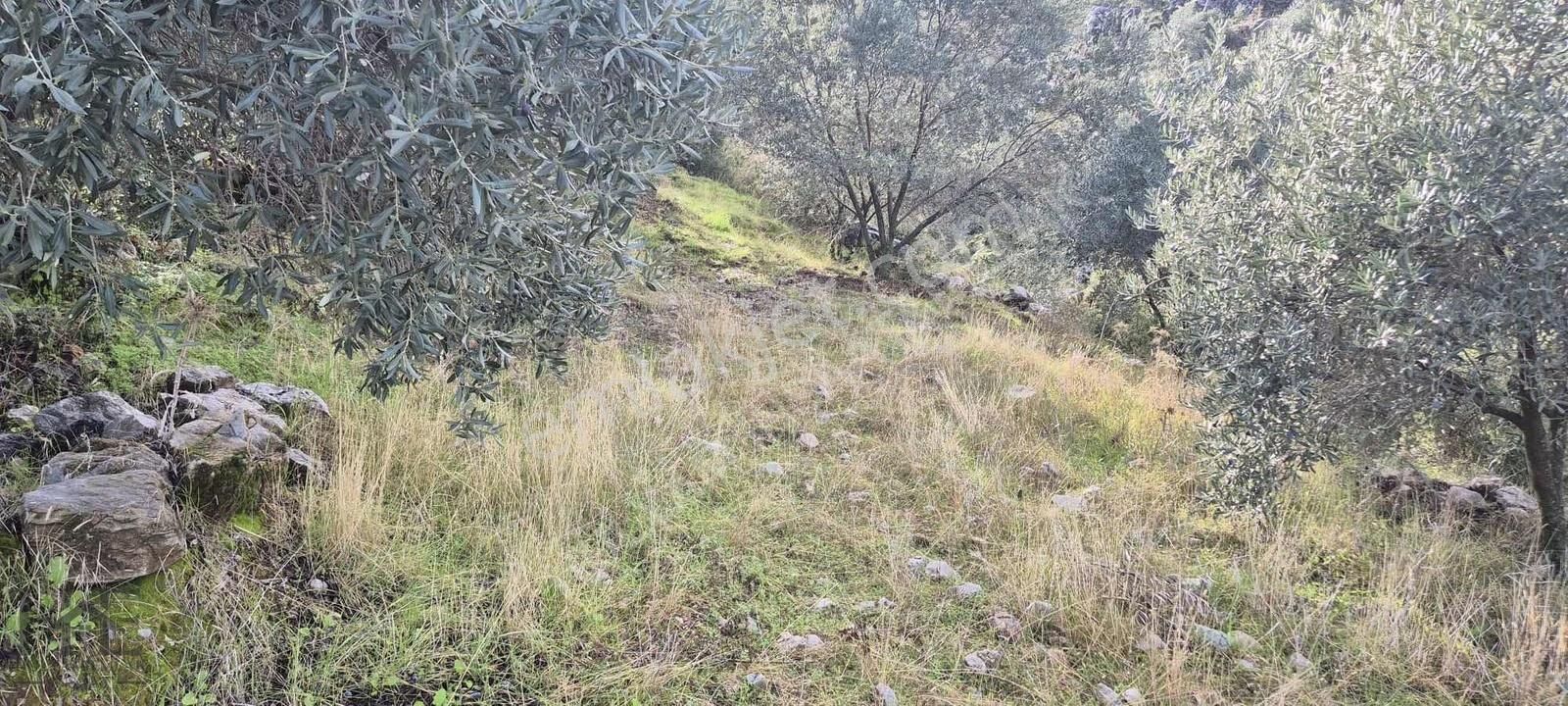 Fethiye Bozyer Mahallesinde Satılık Arazi - Görsel 12