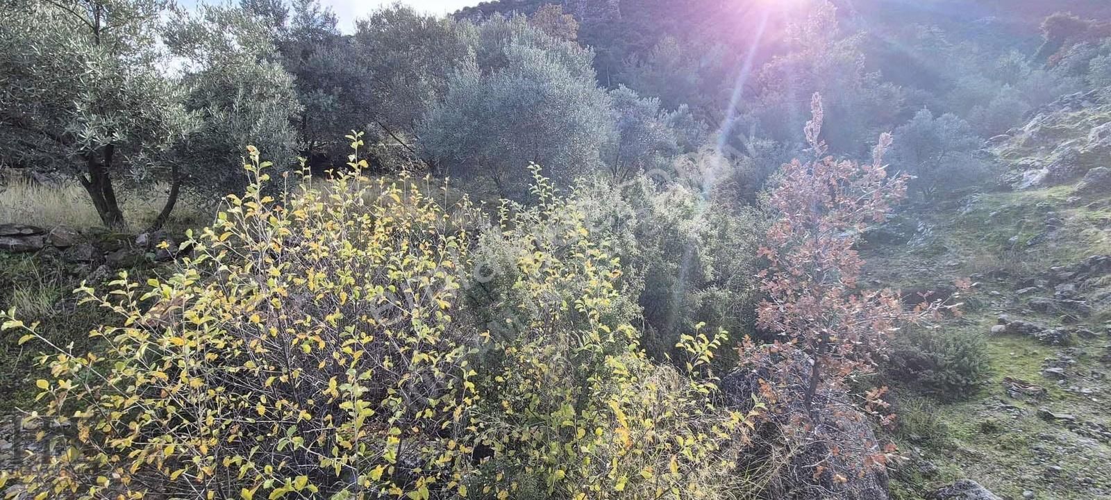 Fethiye Bozyer Mahallesinde Satılık Arazi - Görsel 13