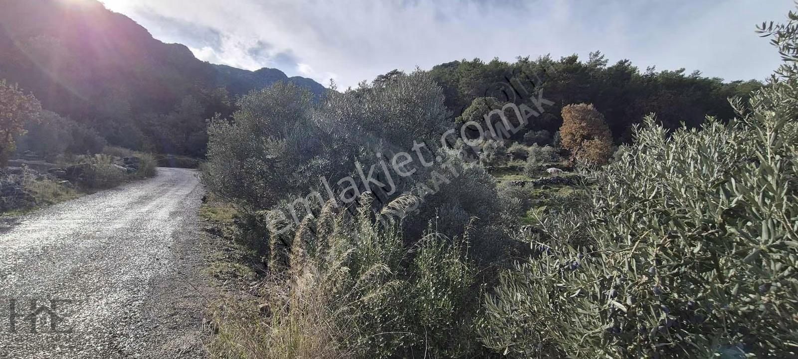 Fethiye Bozyer Mahallesinde Satılık Arazi - Görsel 5