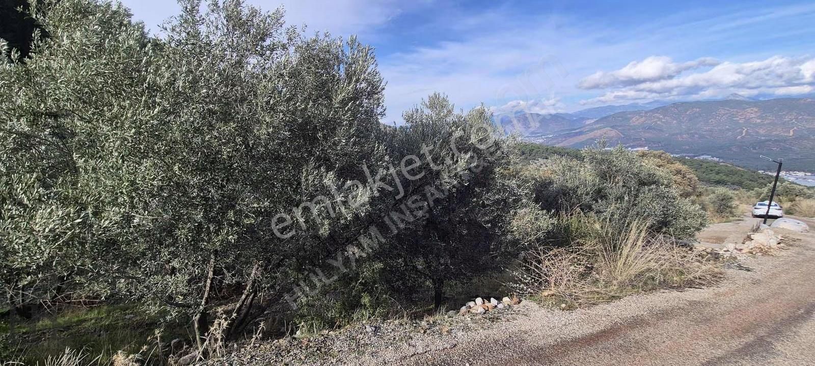 Fethiye Bozyer Mahallesinde Satılık Arazi - Görsel 11