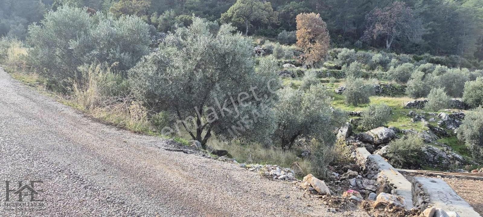 Fethiye Bozyer Mahallesinde Satılık Arazi - Görsel 6