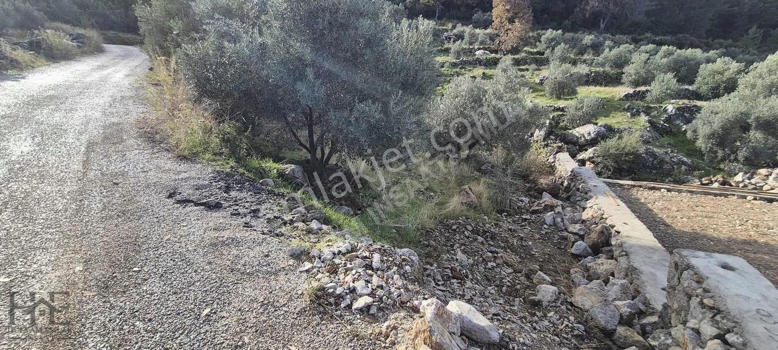 Fethiye Bozyer Mahallesinde Satılık Arazi - Görsel 7