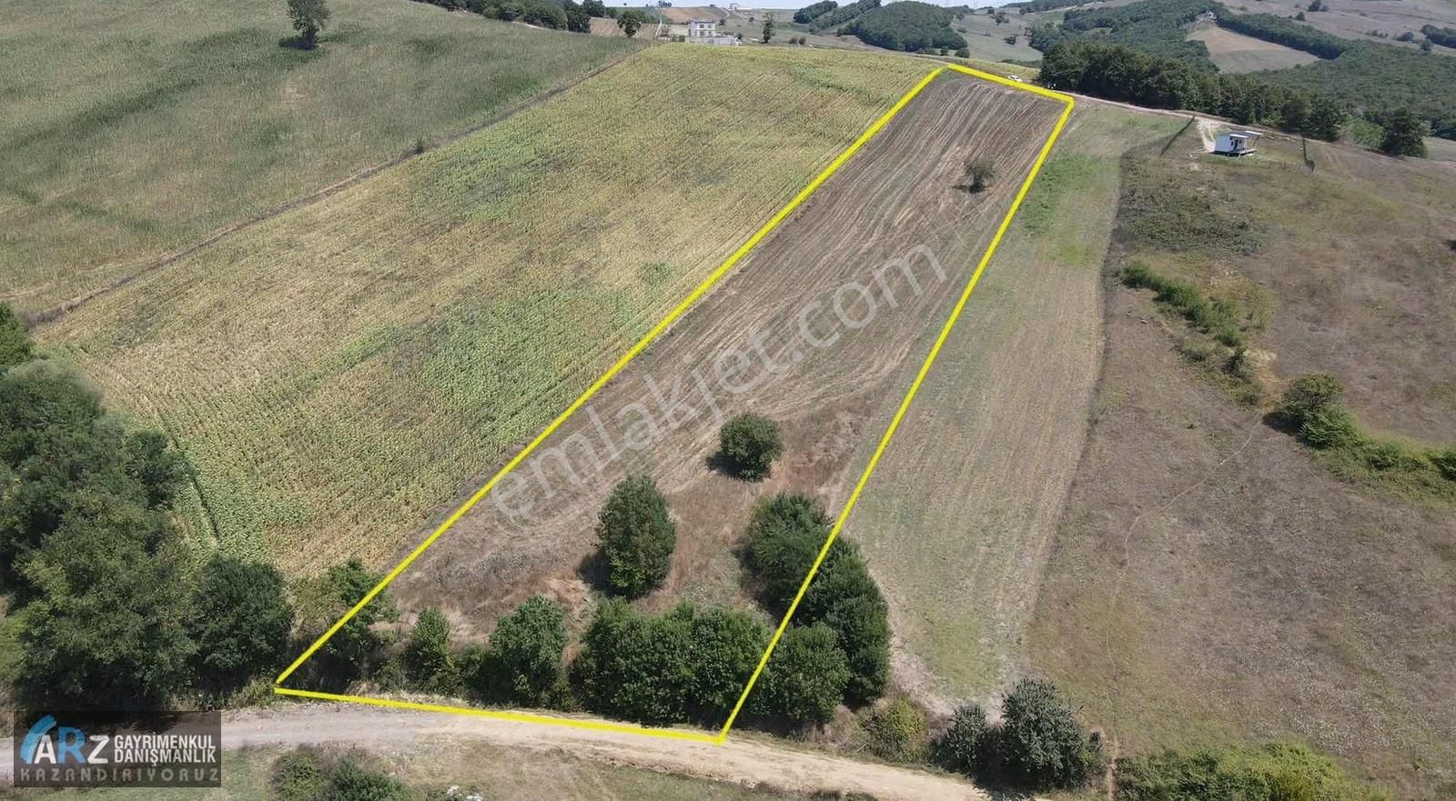 Geredelı'de Resmi Yollu %5 İmarlı 8.834m2 Fırsat Tarla! - Görsel 4