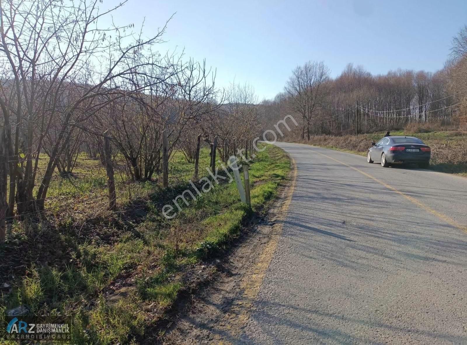 Ağva-şile Ana Asfalta Cephe Kelepir Fiyat Fırsat Fındıklık - Görsel 6