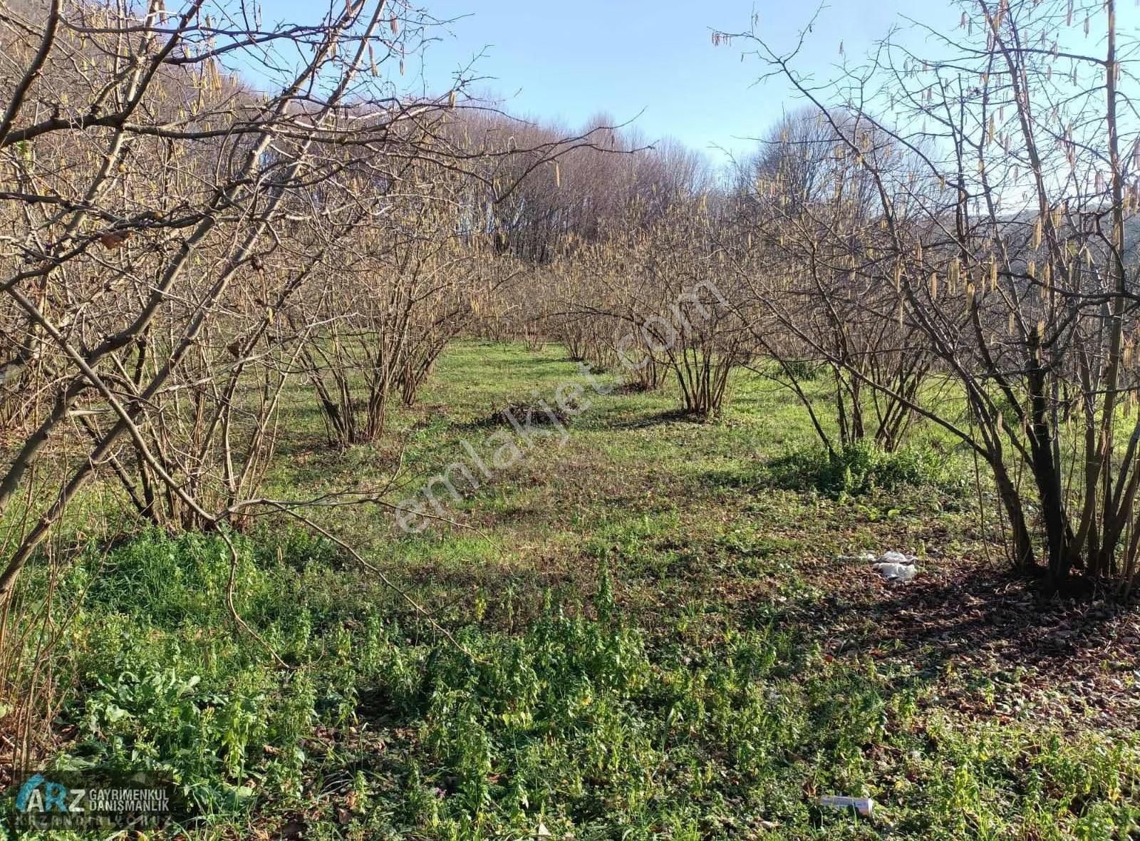 Ağva-şile Ana Asfalta Cephe Kelepir Fiyat Fırsat Fındıklık - Görsel 8