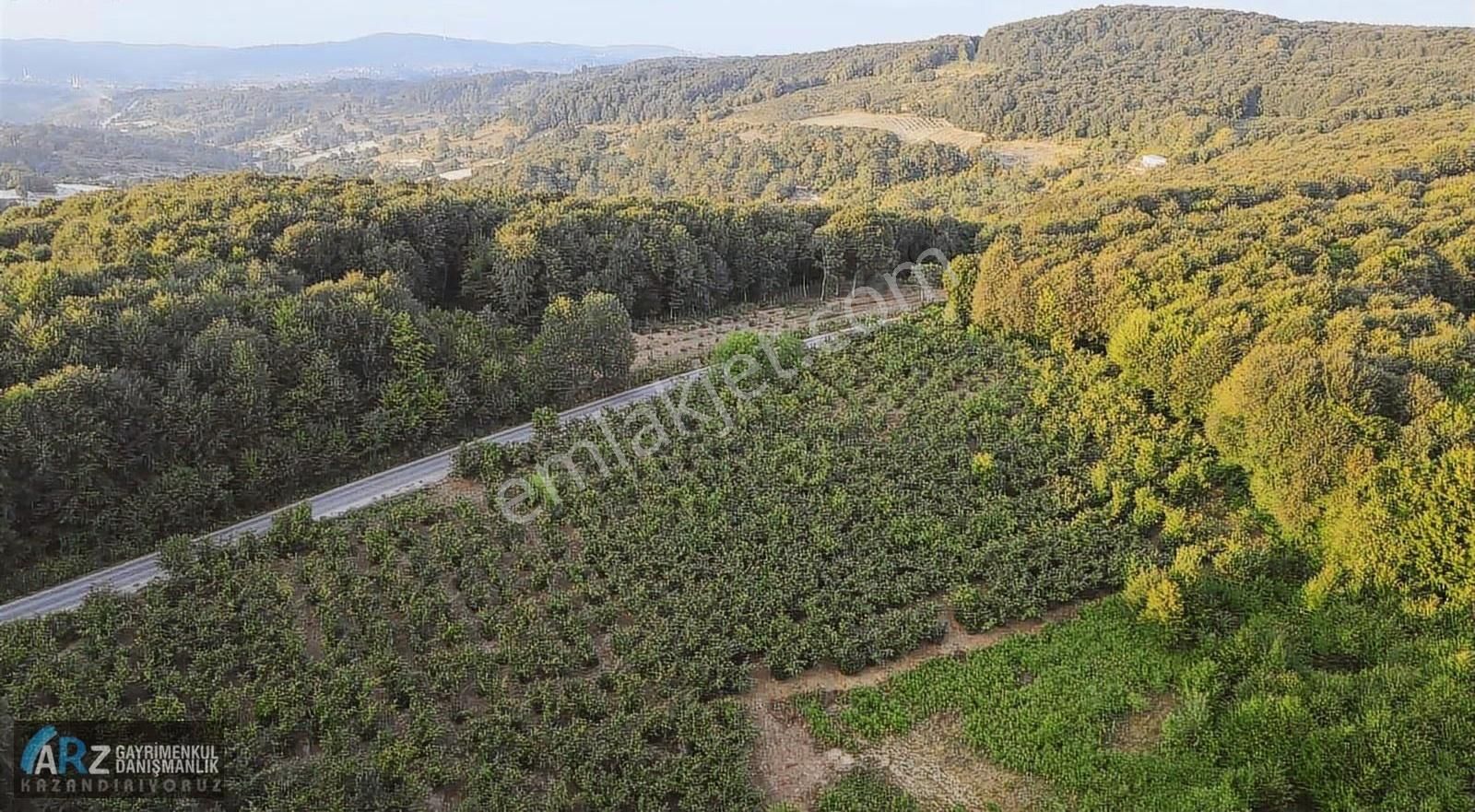 Ağva-şile Ana Asfalta Cephe Kelepir Fiyat Fırsat Fındıklık - Görsel 9