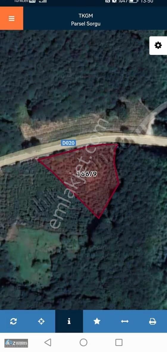 Ağva-şile Ana Asfalta Cephe Kelepir Fiyat Fırsat Fındıklık - Görsel 11