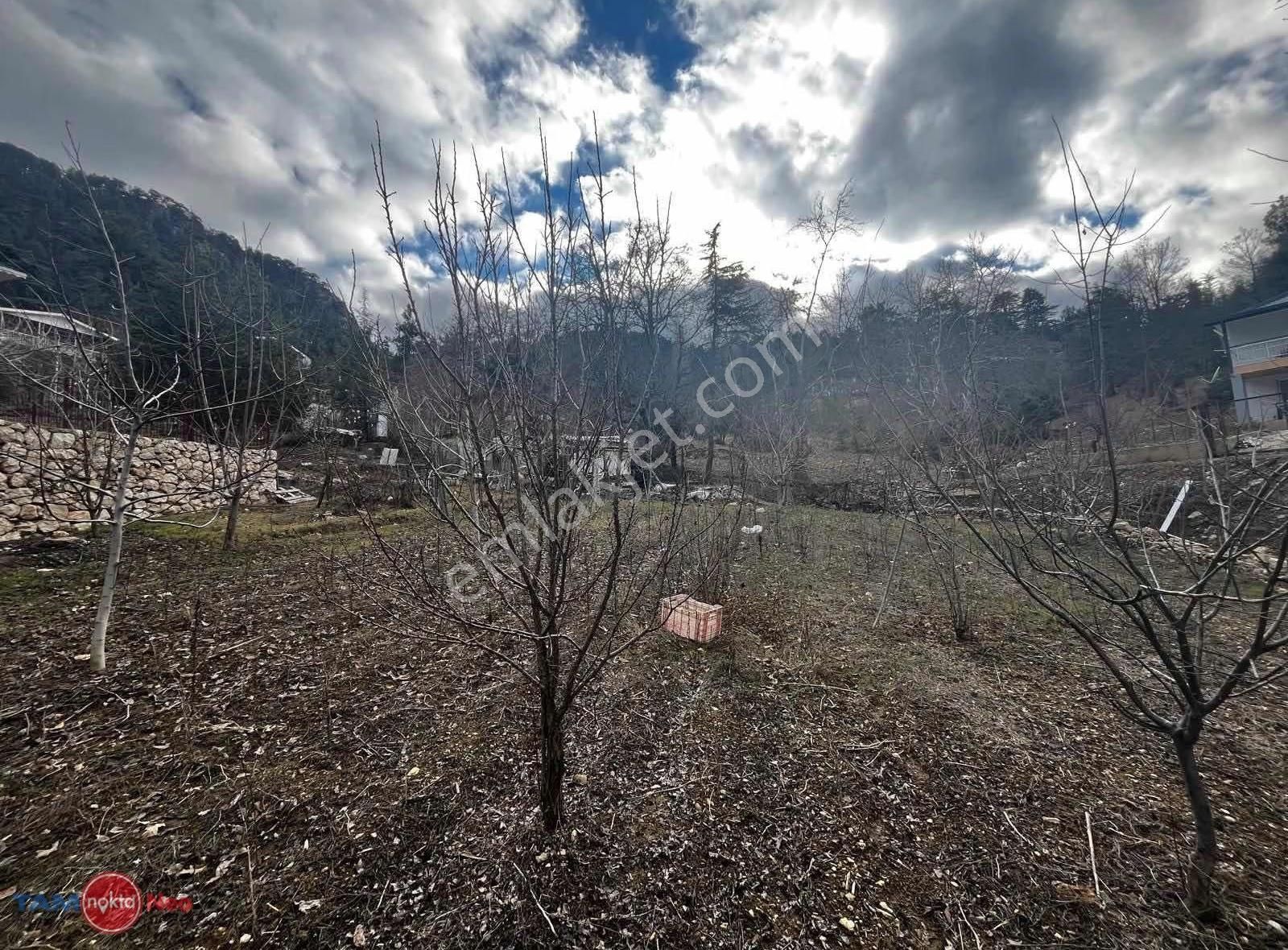 Konyaaltı Hisarçandır'ı Ekizce Yaylası Satılık Tarla - Görsel 2