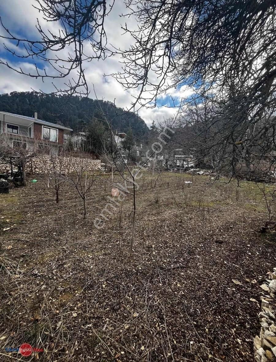 Konyaaltı Hisarçandır'ı Ekizce Yaylası Satılık Tarla - Görsel 5