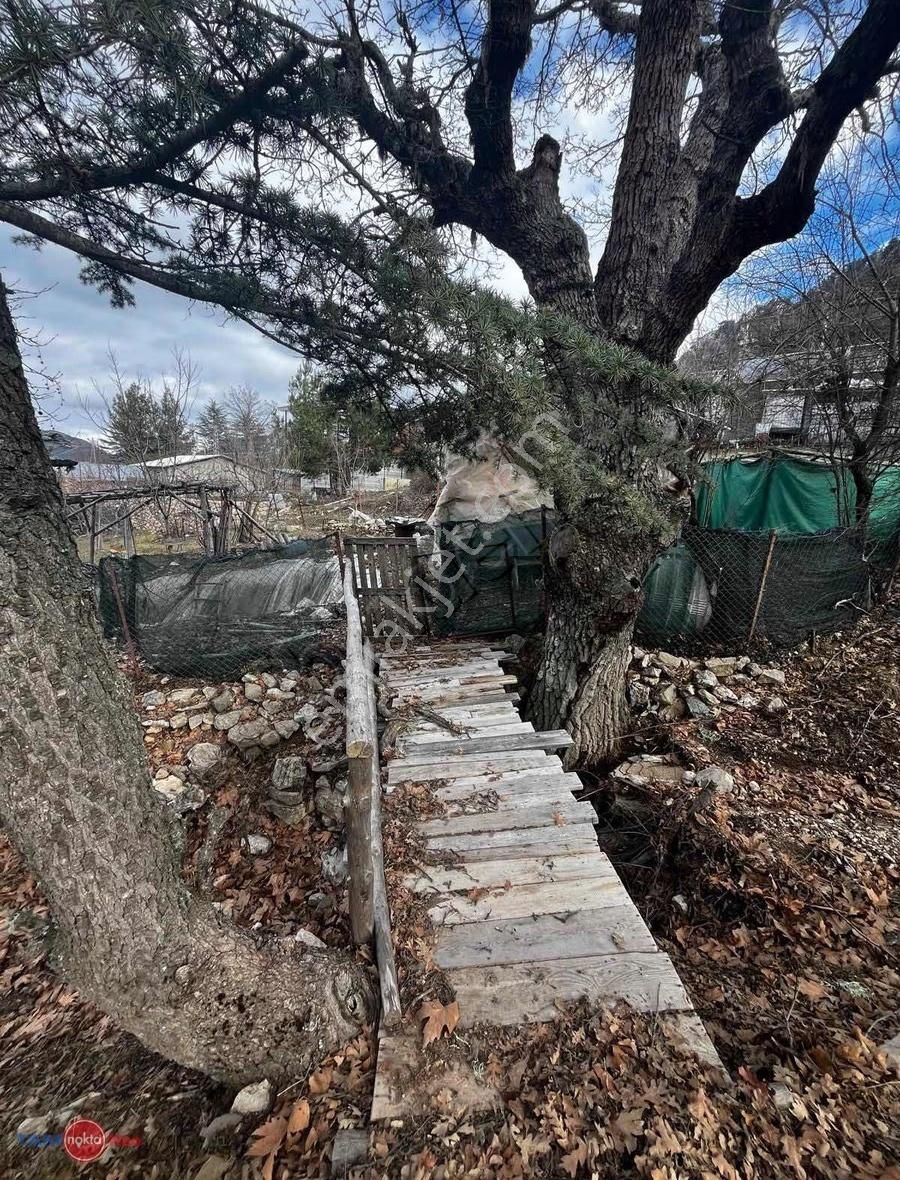 Konyaaltı Hisarçandır'ı Ekizce Yaylası Satılık Tarla - Görsel 6