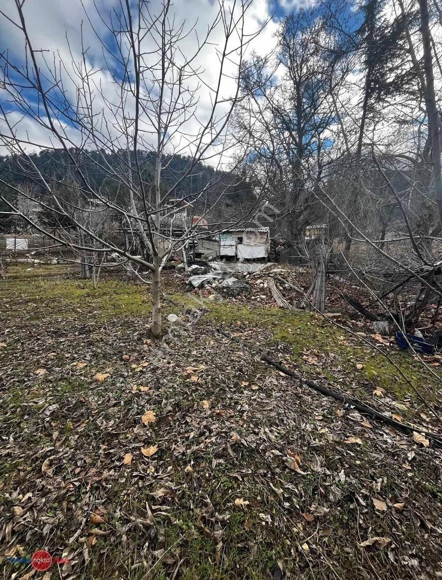 Konyaaltı Hisarçandır'ı Ekizce Yaylası Satılık Tarla - Görsel 3