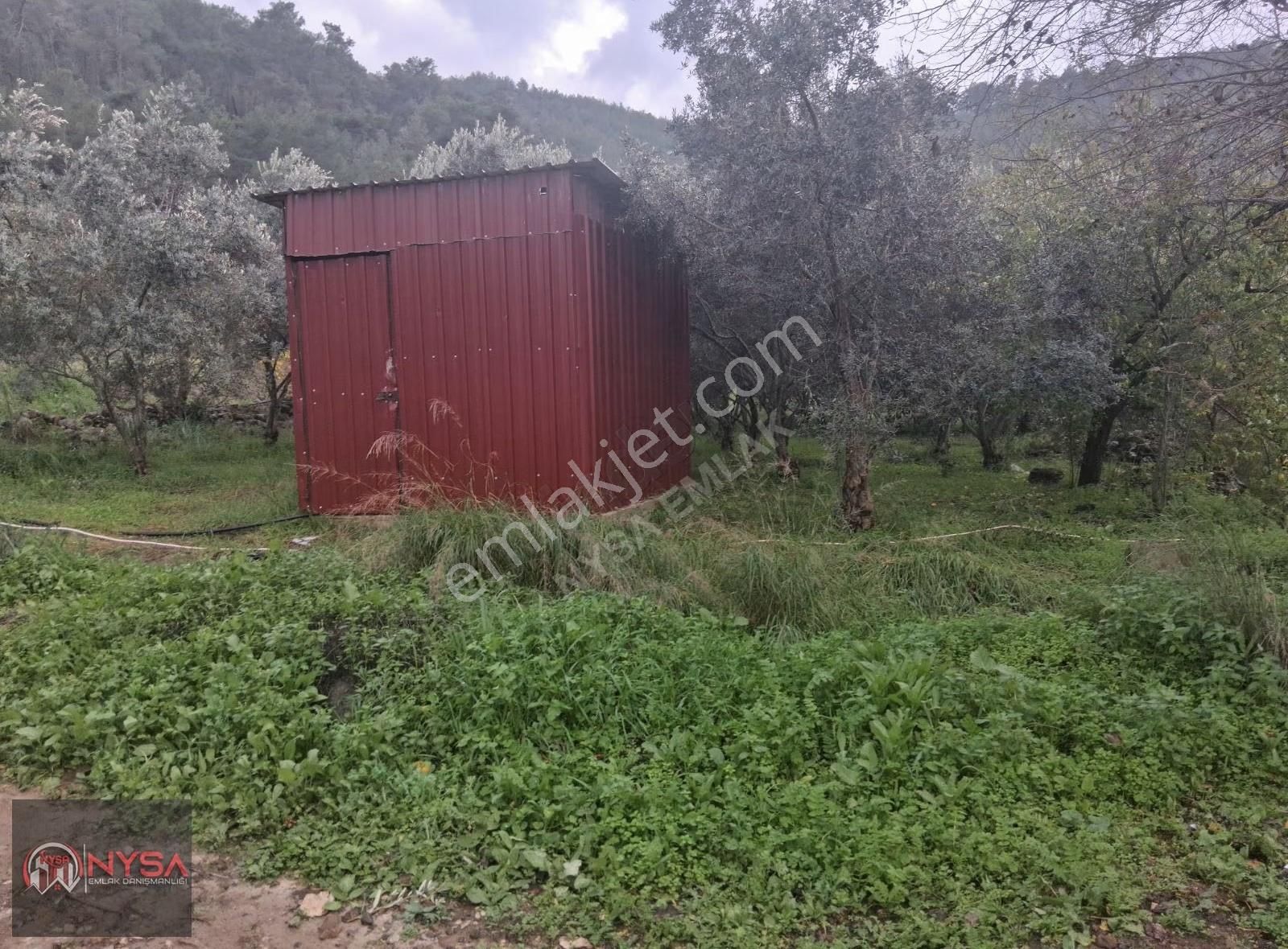 Nysa Emlak'tan 700 M2 Satılık Hisseli Zeytinlik - Görsel 10