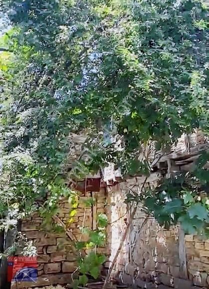 Kandıra Deliveli Merkezde Taş Ev 303 M2 0.35 İmarlı Arsa İçinde - Görsel 4