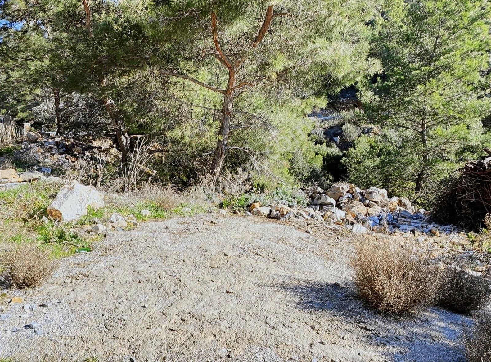 Bodrum Kızılağaç'ta Satılık Anayola Cepheli Müstakil Tarla - Görsel 4