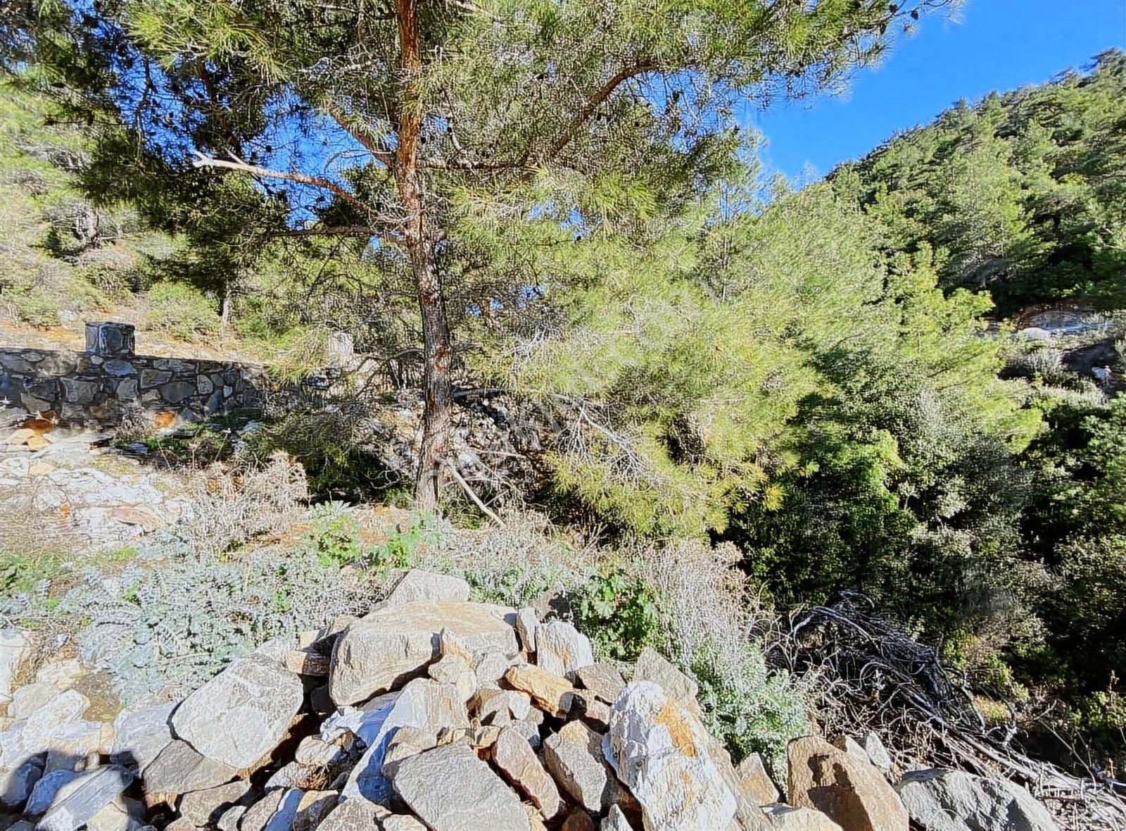 Bodrum Kızılağaç'ta Satılık Anayola Cepheli Müstakil Tarla - Görsel 3