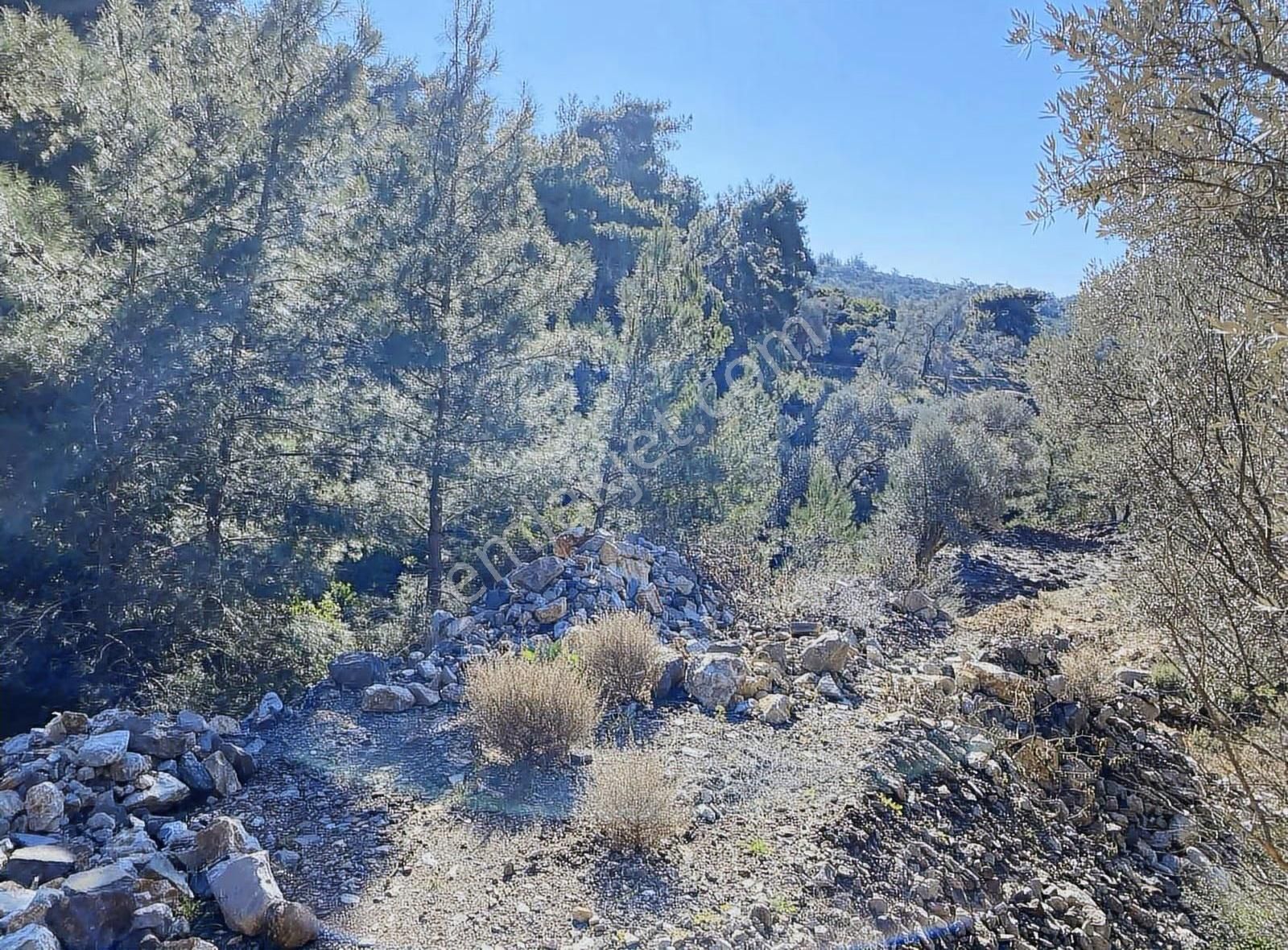 Bodrum Kızılağaç'ta Satılık Anayola Cepheli Müstakil Tarla - Görsel 5