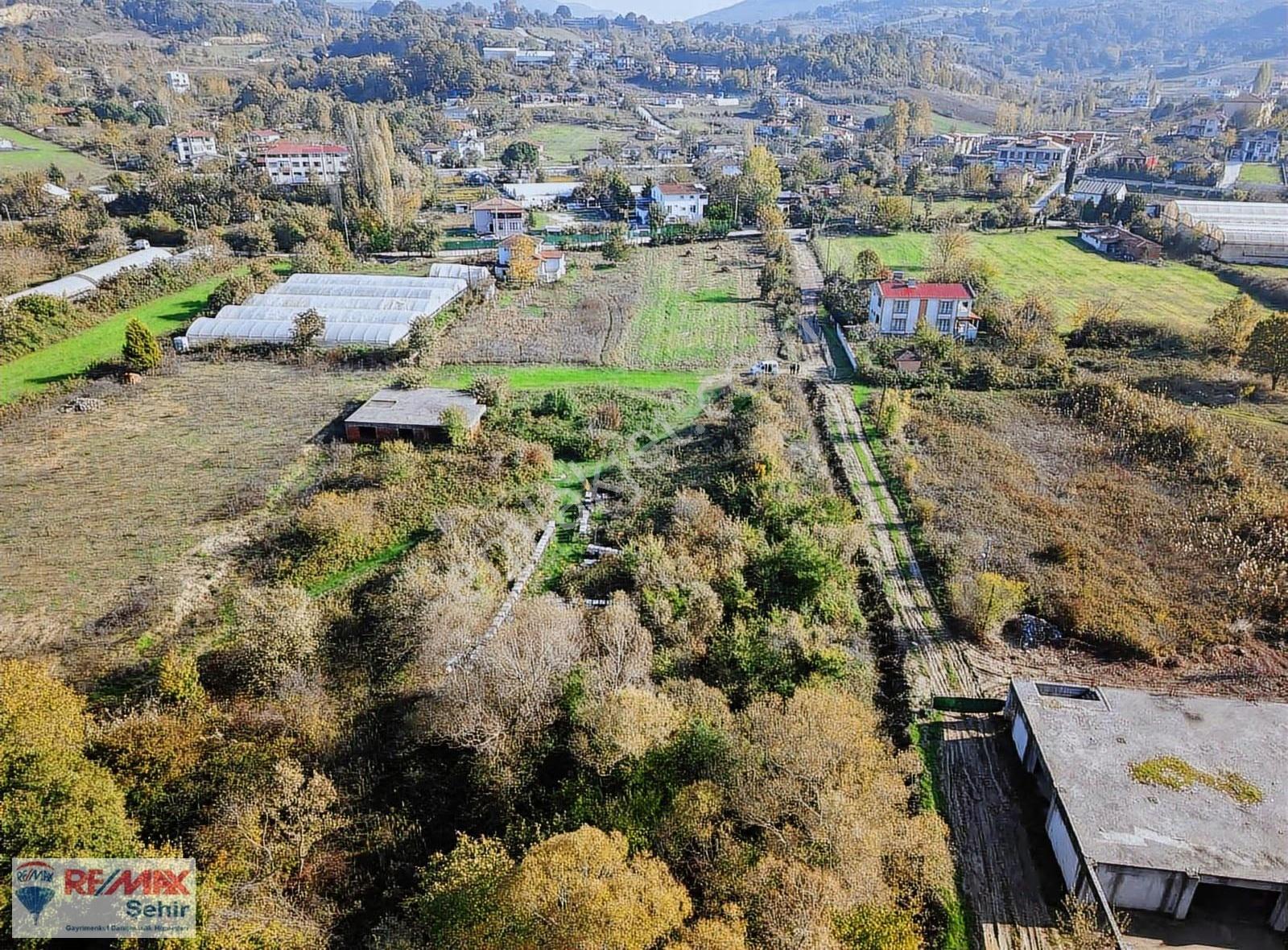 Re/max Şehir Yalova'dan Safran'da Satılık Tarla - Görsel 7