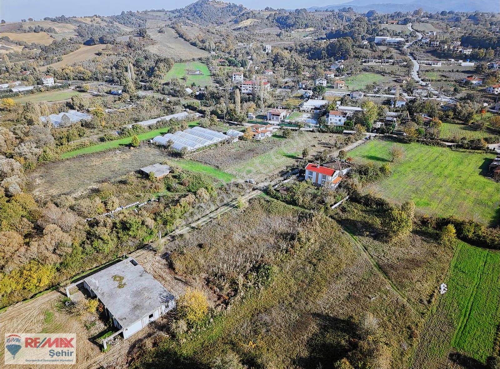 Re/max Şehir Yalova'dan Safran'da Satılık Tarla - Görsel 3