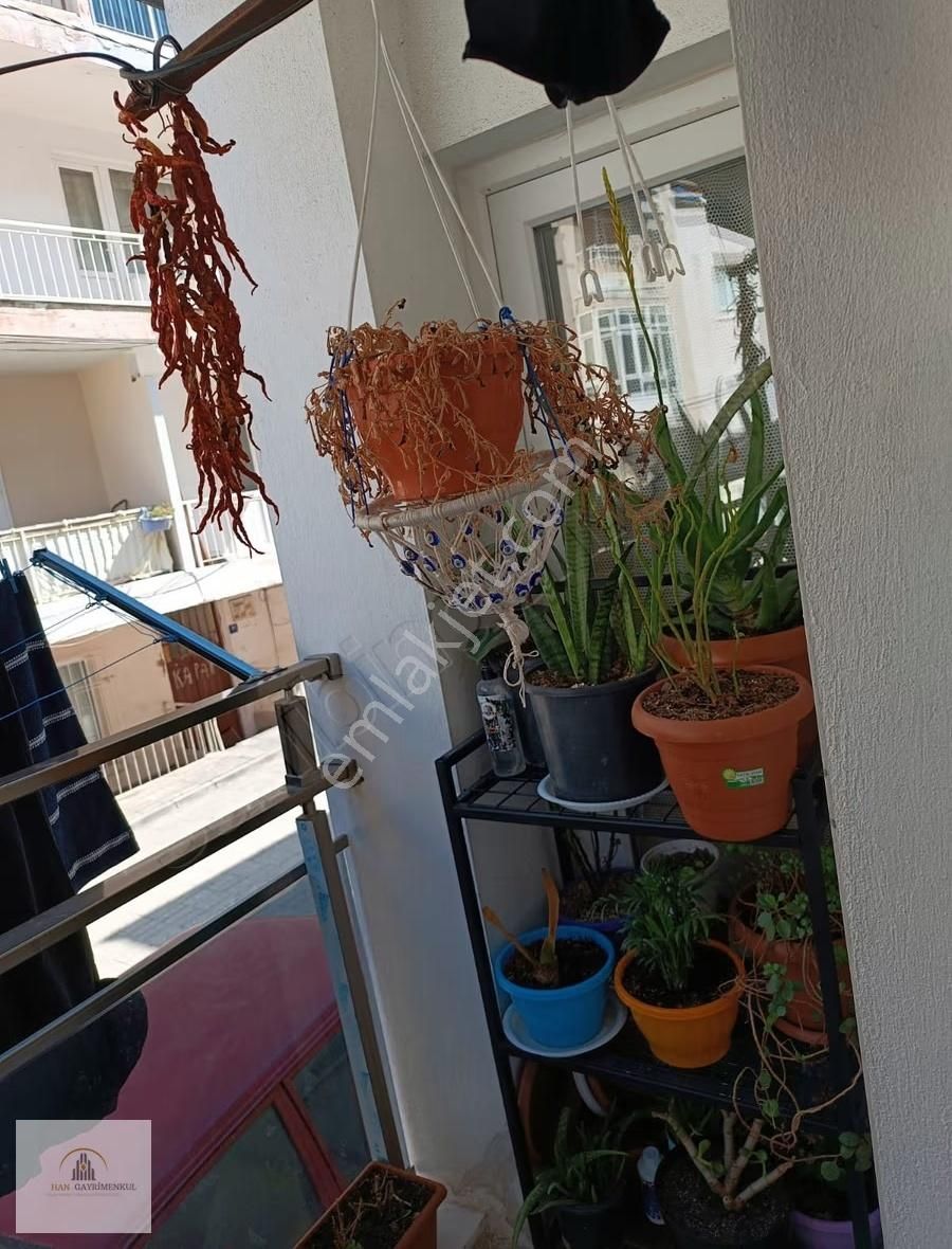 Kuş Adası Hacıfeyzullah Mah. Barlar Sokağı Üstü 1+1