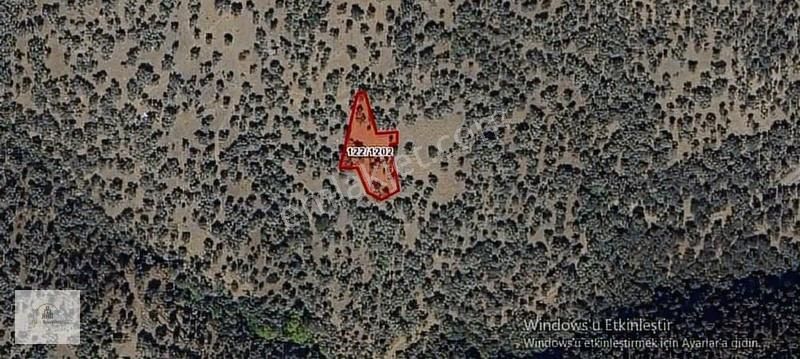 İzmir Bayındır Çenikler Arsalarımız Mevcuttur. Toplu Verilir.