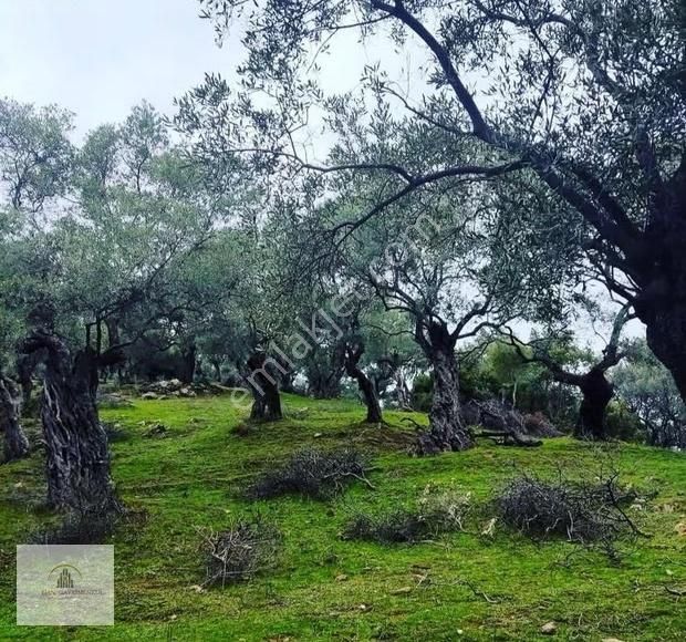 İzmir Bayındır Çenikler Arsalarımız Mevcuttur. Toplu Verilir. - Görsel 9