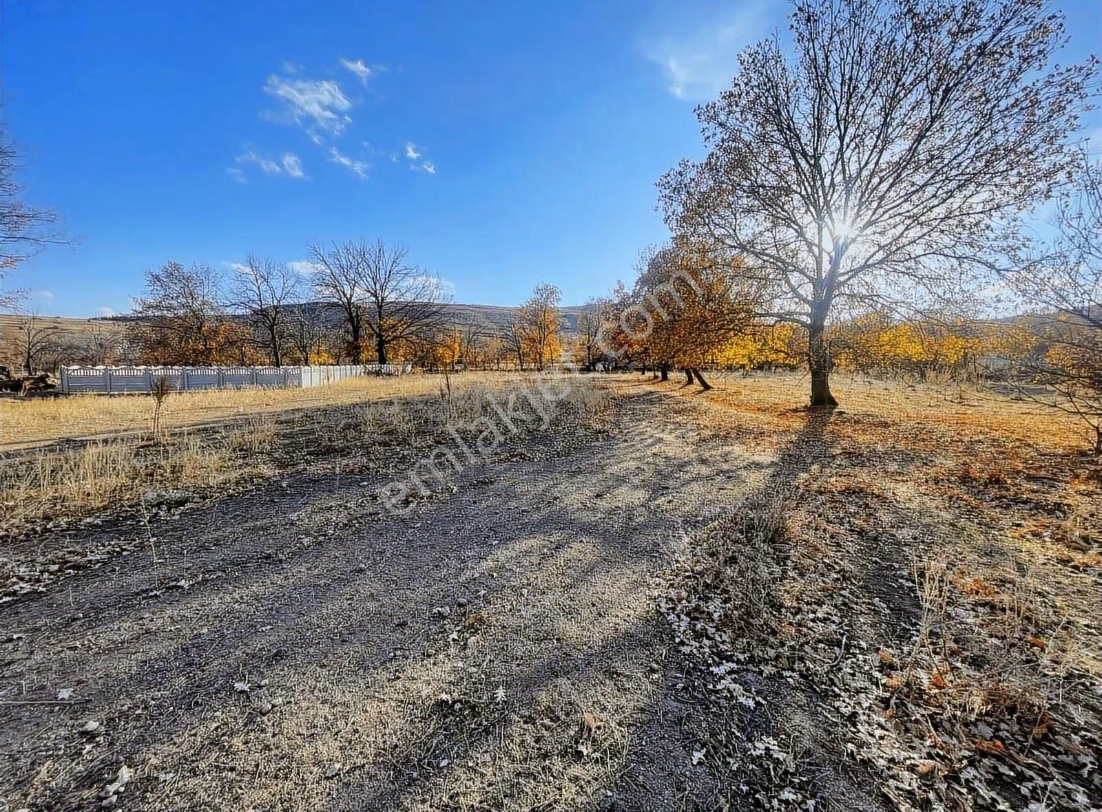 Kulaç Emlaktan Salarda Satılık Hobi Bahçesi Yola Cepheli 2816m2 - Görsel 7