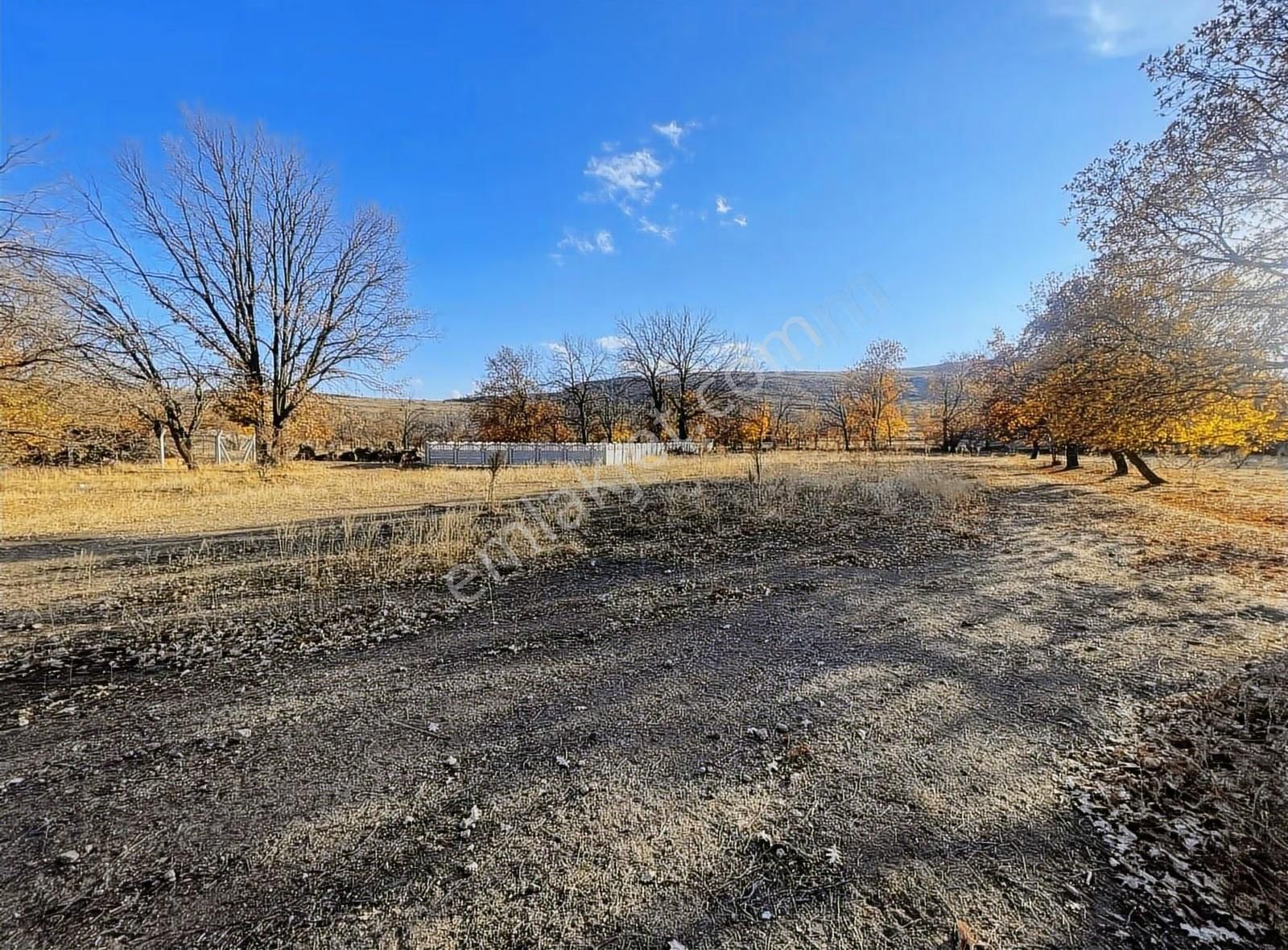 Kulaç Emlaktan Salarda Satılık Hobi Bahçesi Yola Cepheli 2816m2 - Görsel 9