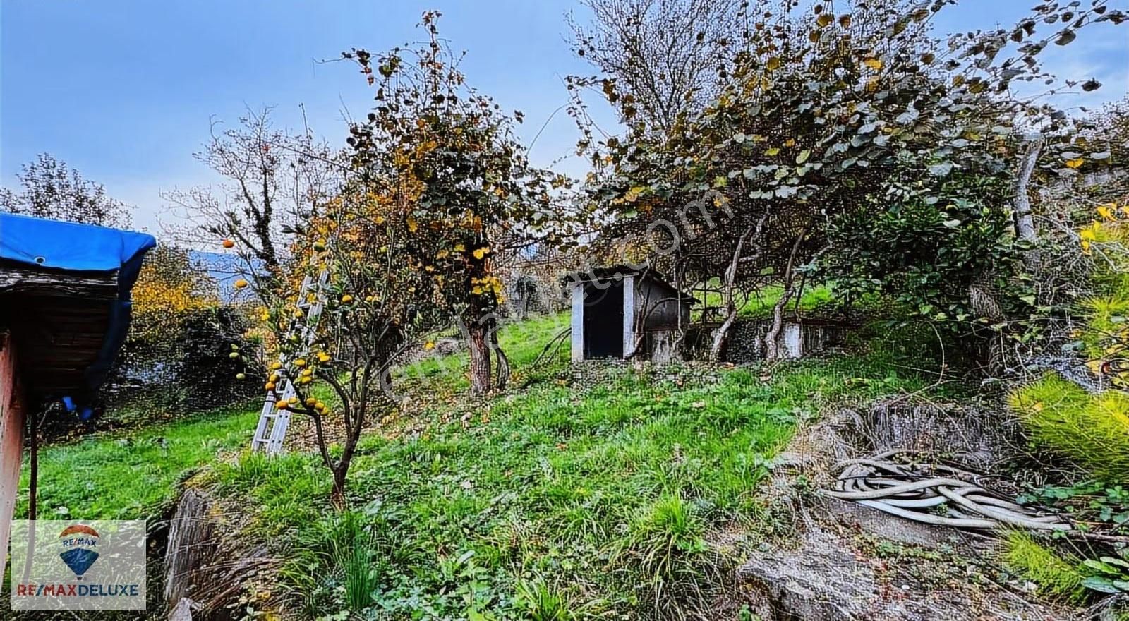 Maşukiye'de 1230 M2 Arsa İçinde Satılık Müstakil Ev - Görsel 6