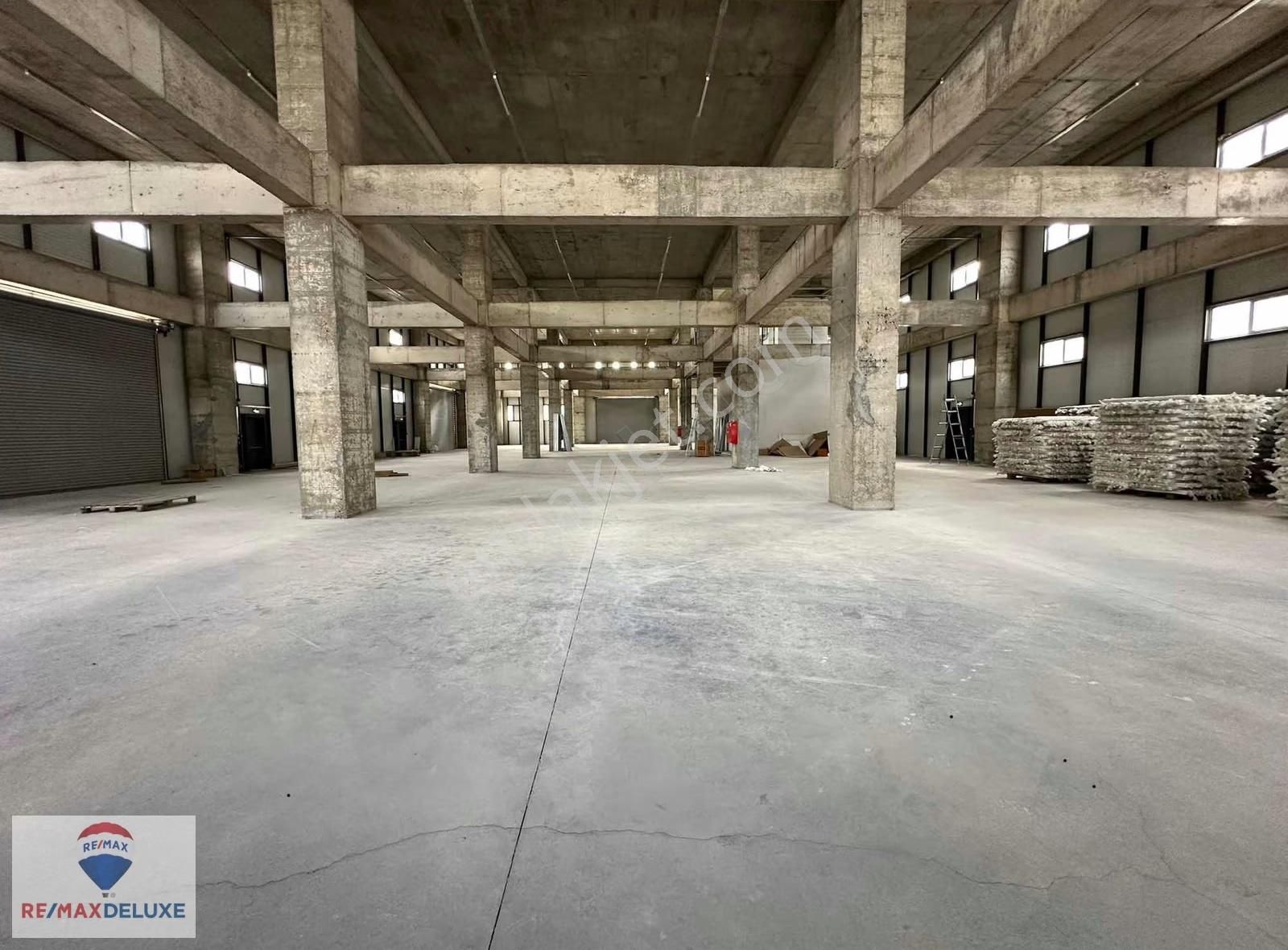 Yeniköy Sepetlipınar'da 1430 M2 Kiralık Depo - Görsel 4