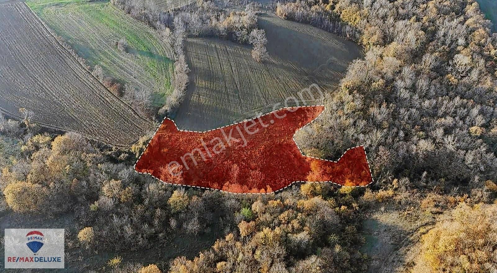 İzmit Nebihoca Satılık 4.450m2 Tarla - Görsel 4
