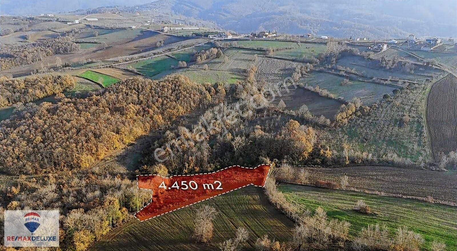İzmit Nebihoca Satılık 4.450m2 Tarla