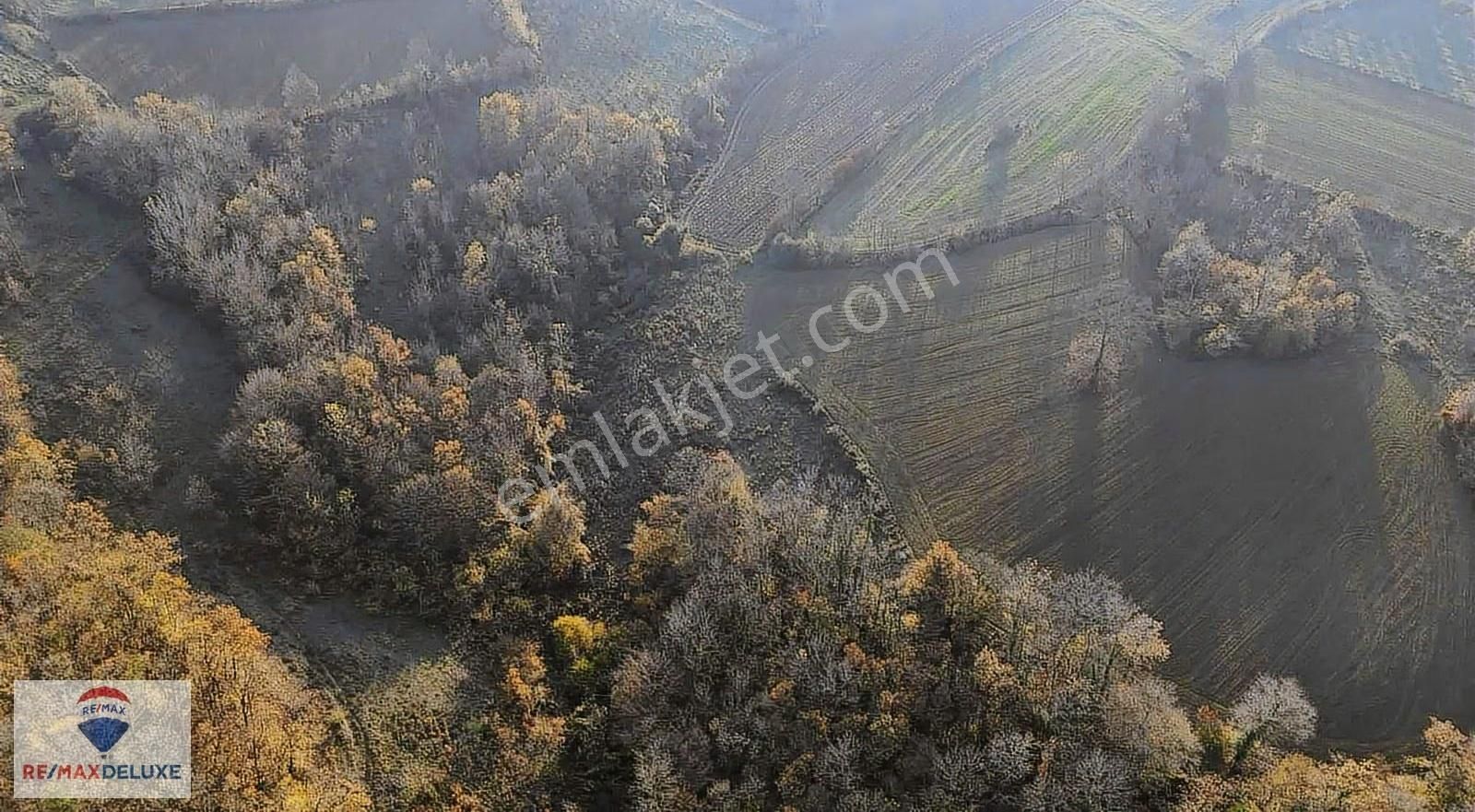 İzmit Nebihoca Satılık 4.450m2 Tarla - Görsel 3