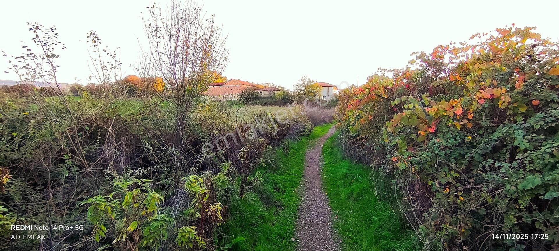 300 M² 2 Kat İmarlı Arsa Çanakkale Çan Hurma Köyü’nde Doğayla İç İçe – Yatırımlık & Konutluk Fırsat - Görsel 2