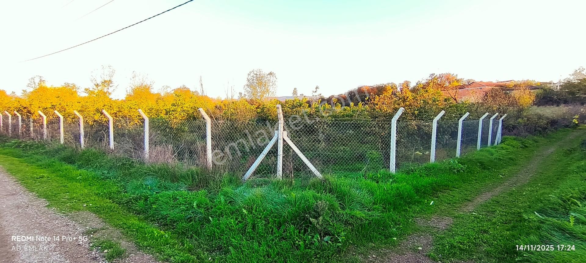 300 M² 2 Kat İmarlı Arsa Çanakkale Çan Hurma Köyü’nde Doğayla İç İçe – Yatırımlık & Konutluk Fırsat - Görsel 3