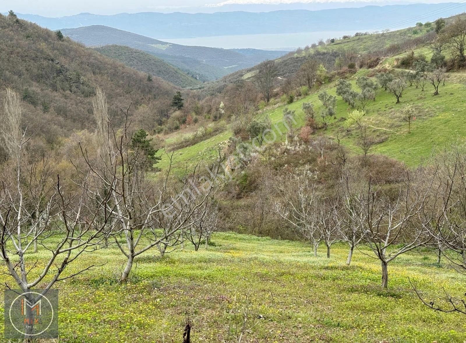 Göl Manzaralı, Altyapısı Hazır Ve Ev Yapımına Uygun 530 M2 Arsa - Görsel 5
