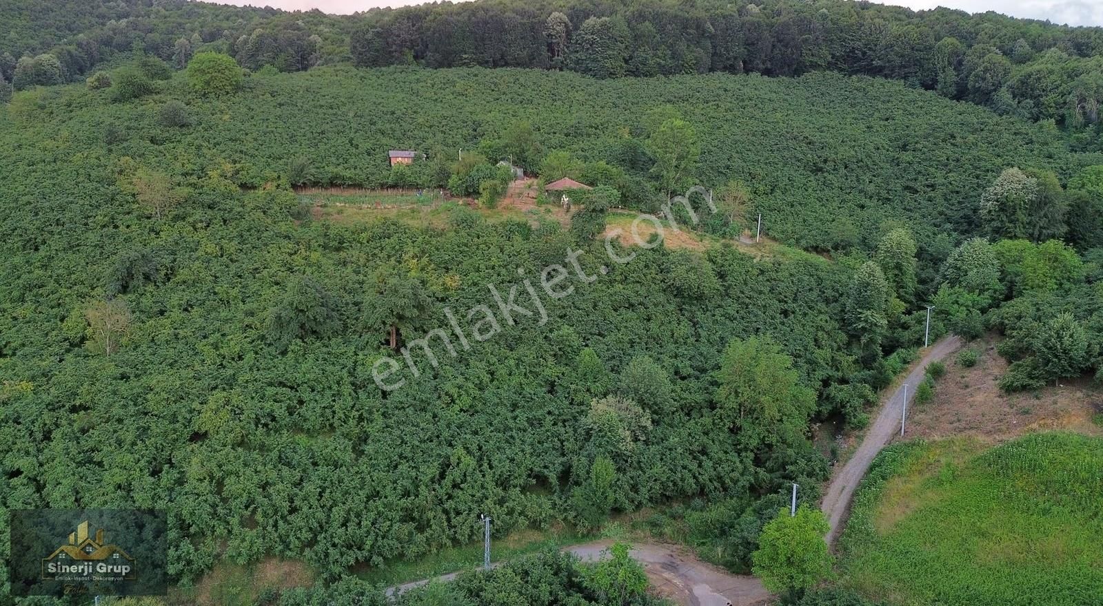 Siner Gayrimenkul Harmantepe Mah. 1968 M2 Satılık Arsa - Görsel 8