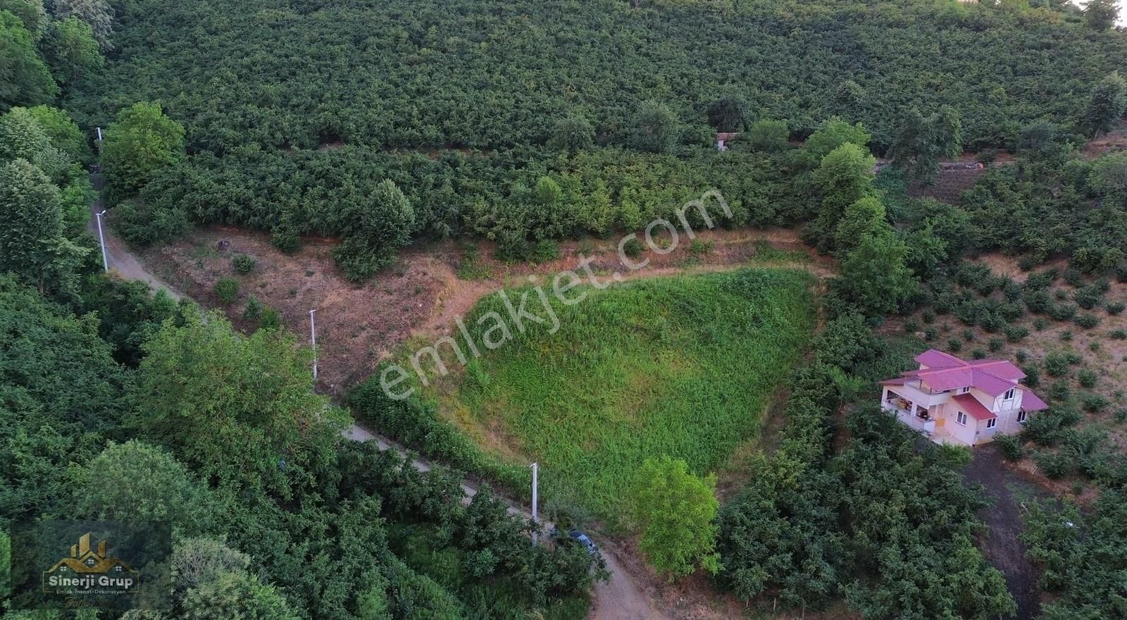 Siner Gayrimenkul Harmantepe Mah. 1968 M2 Satılık Arsa - Görsel 7