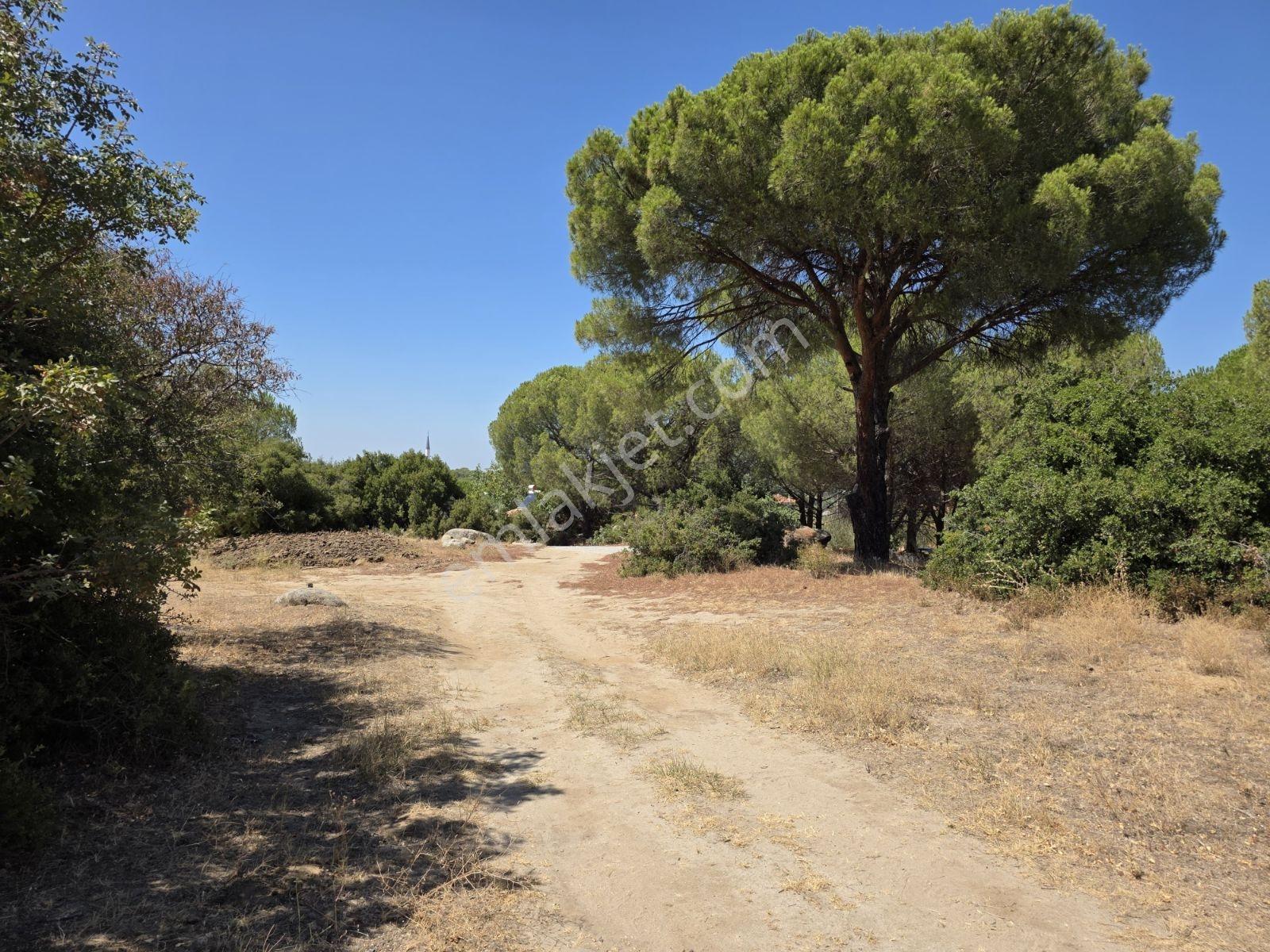 İzmir Bergama Okçular Mah. Köycıvarı Yatırımlık 2951 M² Arazi - Görsel 12