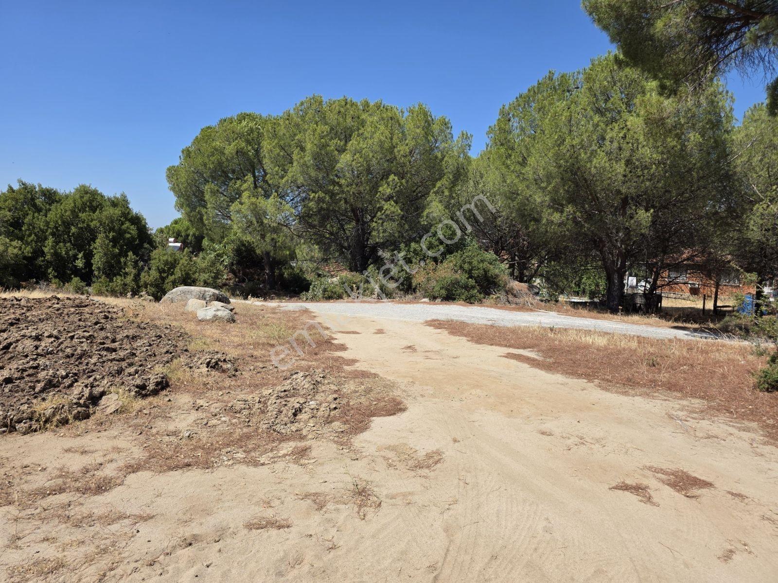 İzmir Bergama Okçular Mah. Köycıvarı Yatırımlık 2951 M² Arazi - Görsel 7