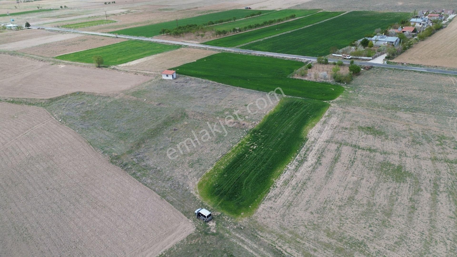 Konya / Meram / Hatunsaray Mahallesinde 2.572 M² Müstakil Tapulu Tarla - Görsel 4