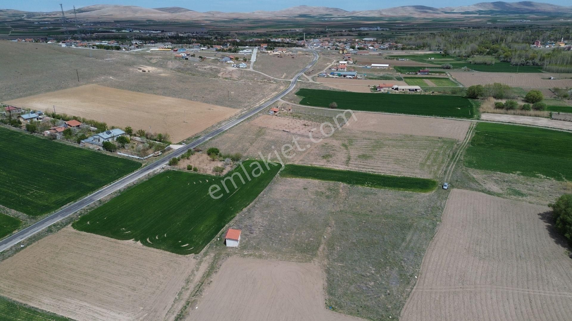 Konya / Meram / Hatunsaray Mahallesinde 2.572 M² Müstakil Tapulu Tarla - Görsel 2